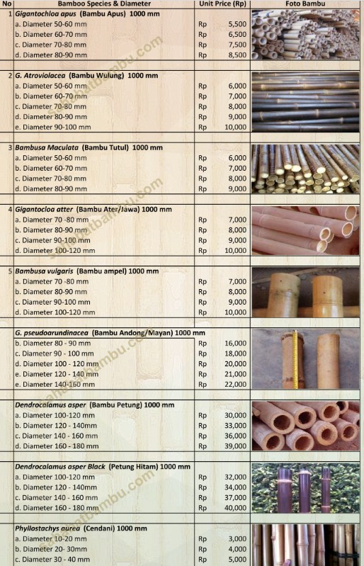 55+ Daftar Harga Bambu Per Batang Semua Jenis Terbaru 2020